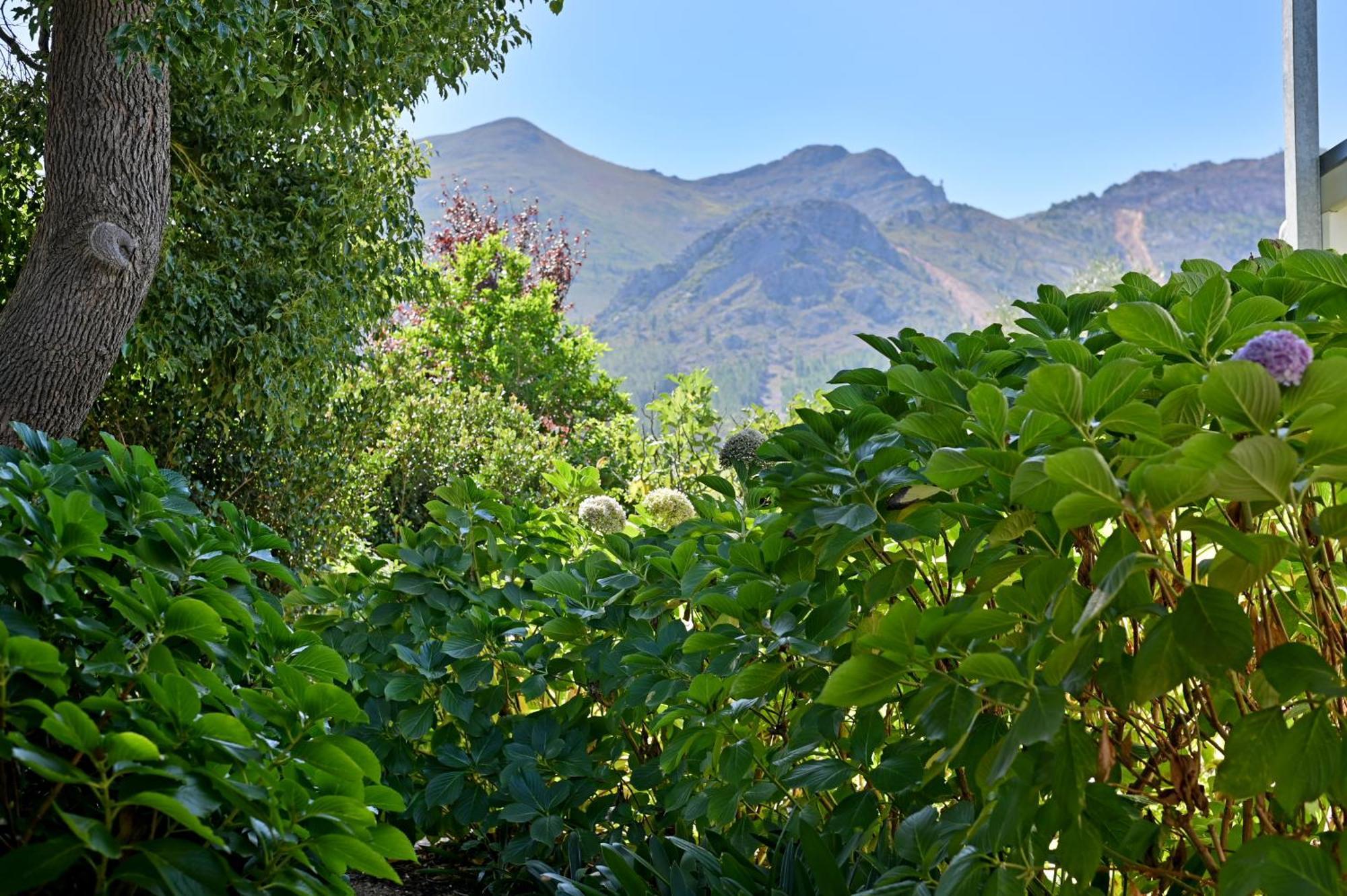 Fransvliet Guest House Franschhoek Zewnętrze zdjęcie