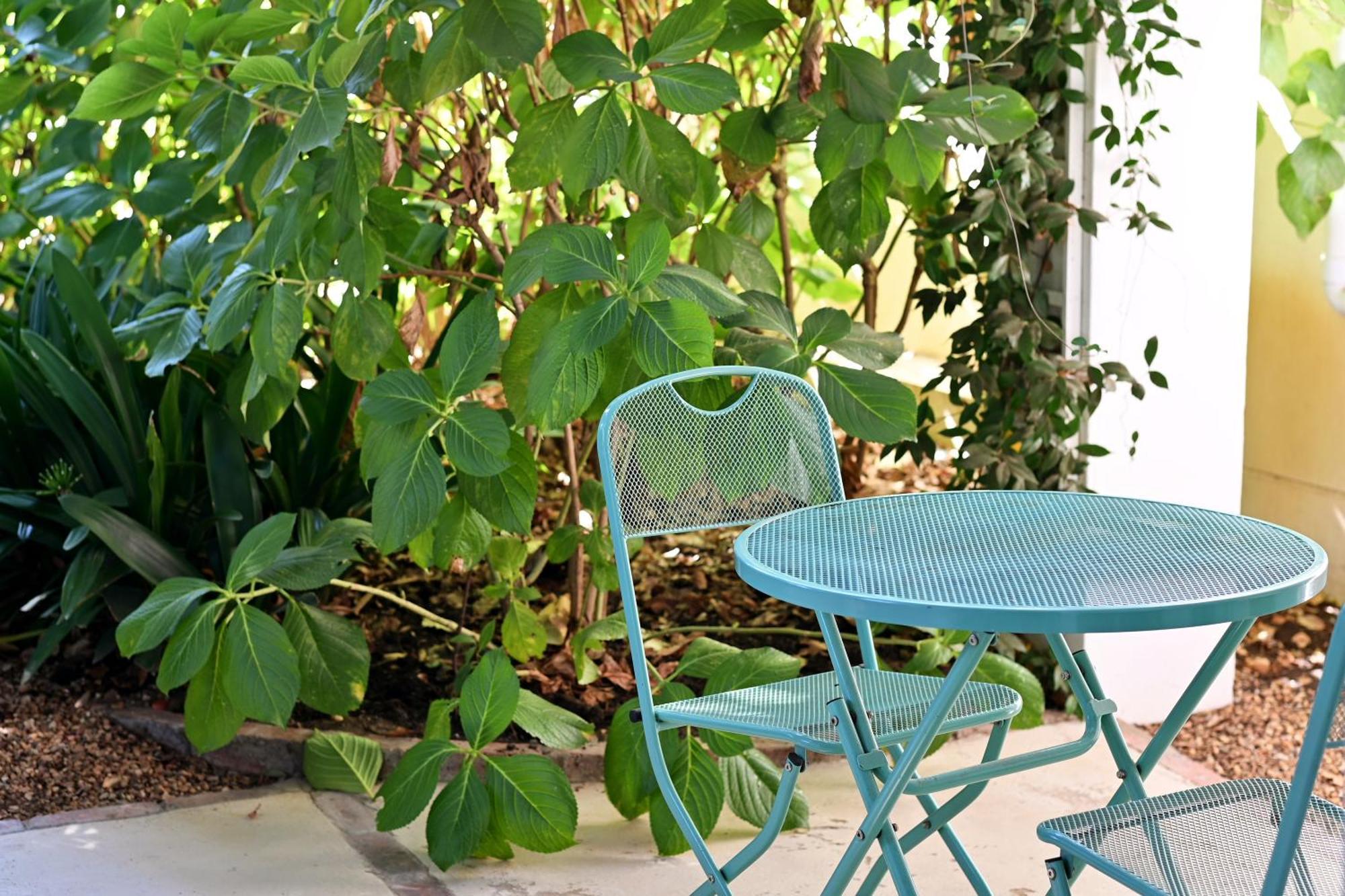 Fransvliet Guest House Franschhoek Zewnętrze zdjęcie